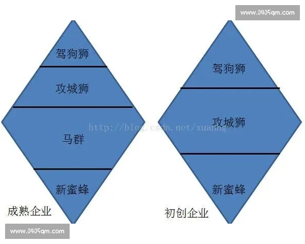 围绕成绩一般的学生如何找到自信与长期发展的成长路径探索方法论