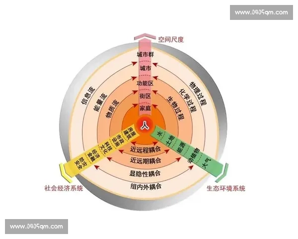 从结构到动因的系统性深度分析揭示复杂现象内在逻辑与演化路径